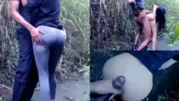 Rayuan Mesra Di Balik Rimbunnya Semak-semak