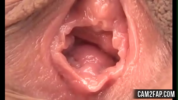 Video Mesum Jilat Memek Asia Yang Menggoda